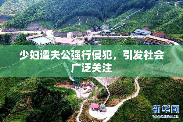 少妇遭夫公强行侵犯，引发社会广泛关注