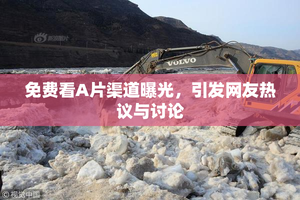 免费看A片渠道曝光，引发网友热议与讨论