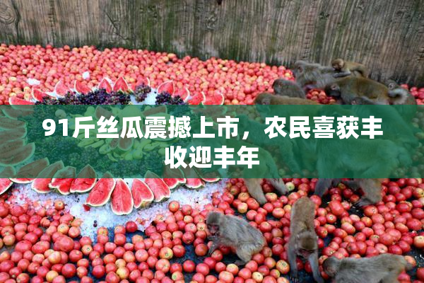 91斤丝瓜震撼上市，农民喜获丰收迎丰年