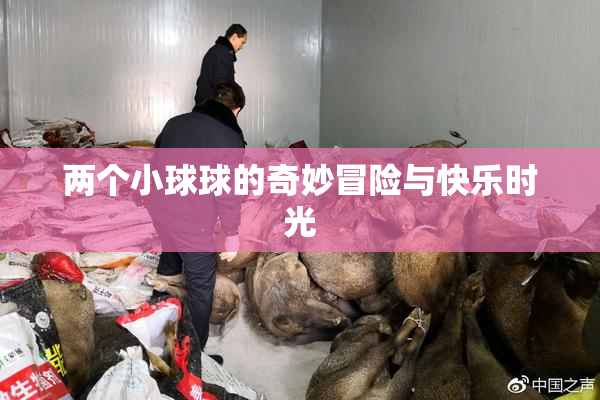 两个小球球的奇妙冒险与快乐时光