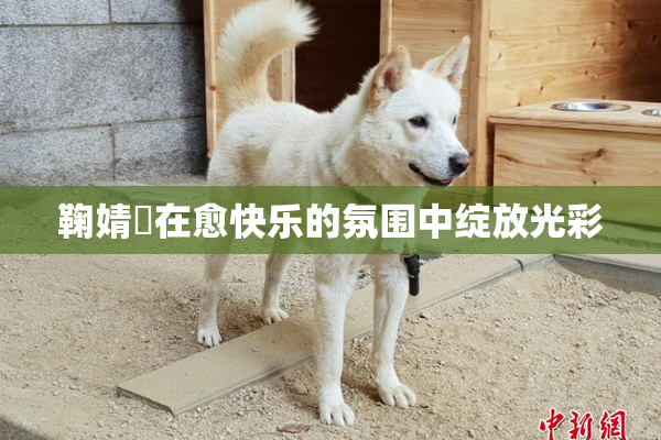 鞠婧祎在愈快乐的氛围中绽放光彩