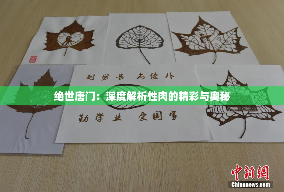 绝世唐门：深度解析性肉的精彩与奥秘