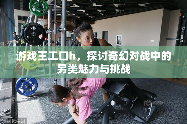 游戏王工口h，探讨奇幻对战中的另类魅力与挑战