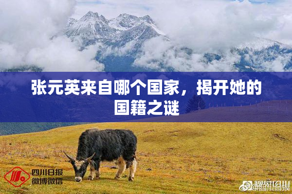 张元英来自哪个国家，揭开她的国籍之谜
