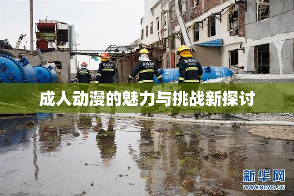 成人动漫的魅力与挑战新探讨