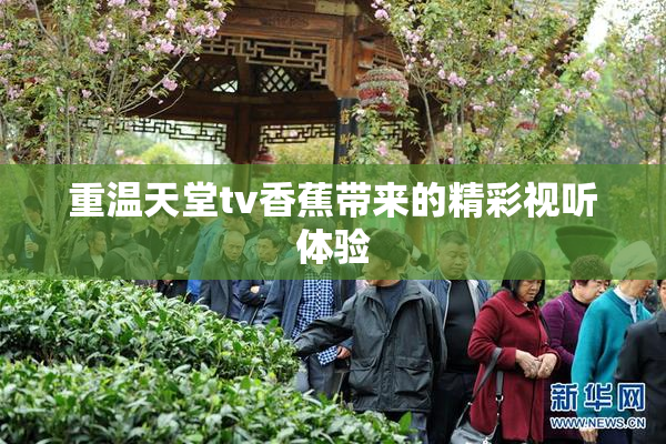 重温天堂tv香蕉带来的精彩视听体验
