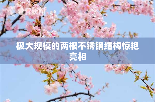 极大规模的两根不锈钢结构惊艳亮相