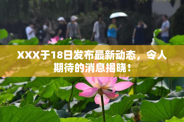 XXX于18日发布最新动态，令人期待的消息揭晓！