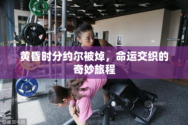 黄昏时分约尔被焯，命运交织的奇妙旅程