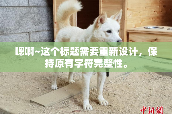 嗯啊~这个标题需要重新设计，保持原有字符完整性。
