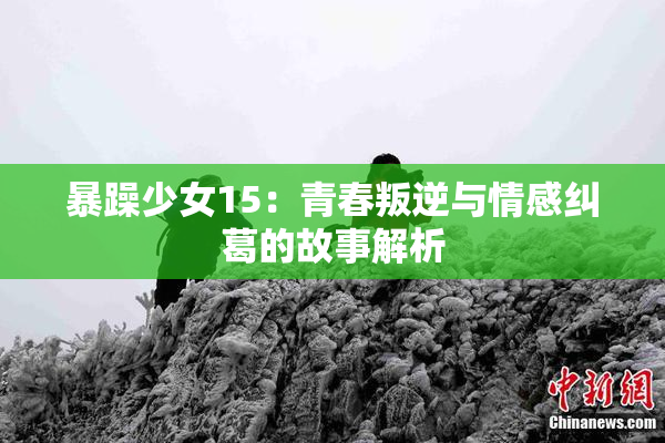 暴躁少女15：青春叛逆与情感纠葛的故事解析