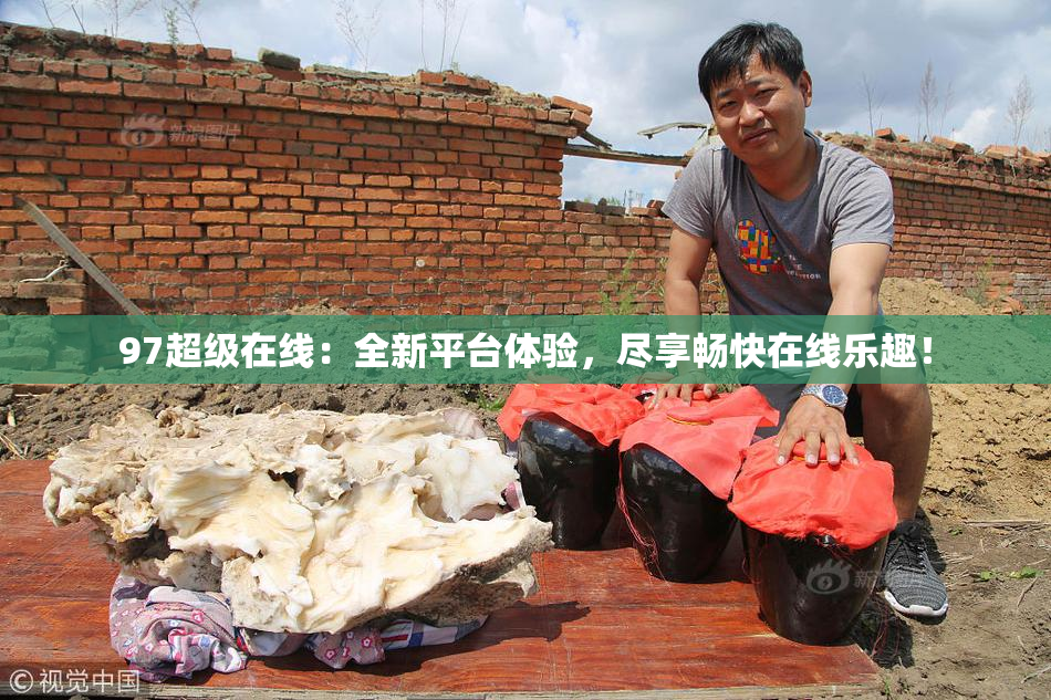 97超级在线：全新平台体验，尽享畅快在线乐趣！