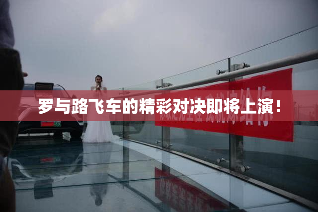 罗与路飞车的精彩对决即将上演！