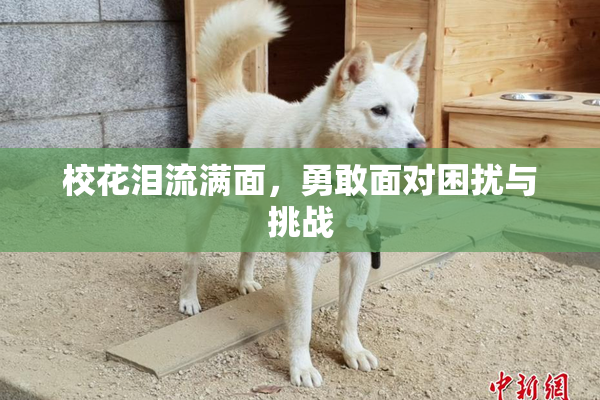 校花泪流满面，勇敢面对困扰与挑战