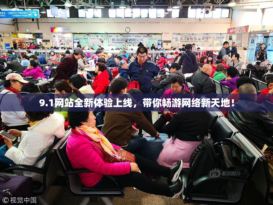 9.1网站全新体验上线，带你畅游网络新天地！
