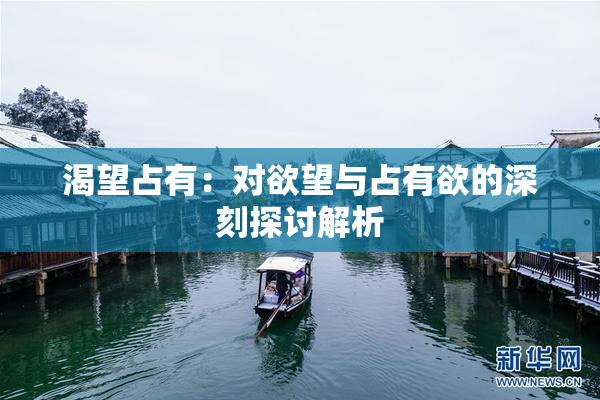 渴望占有：对欲望与占有欲的深刻探讨解析
