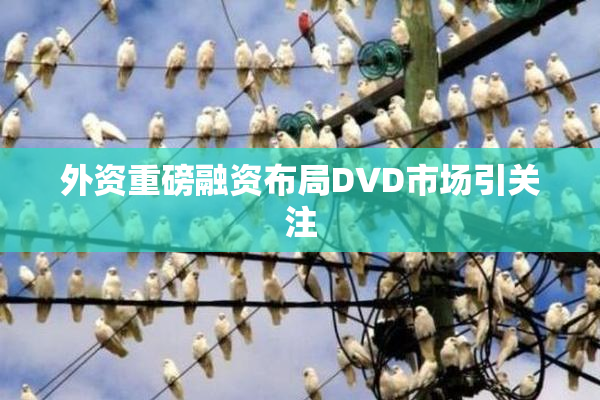 外资重磅融资布局DVD市场引关注