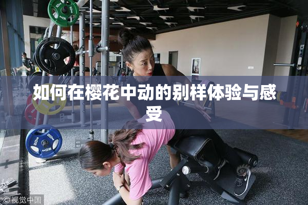 如何在樱花中动的别样体验与感受
