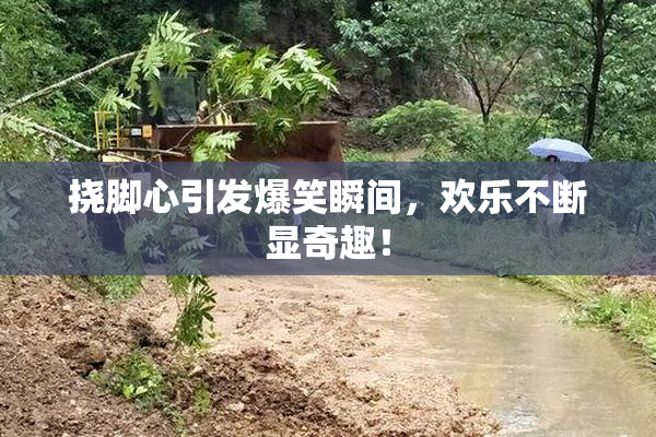 挠脚心引发爆笑瞬间，欢乐不断显奇趣！