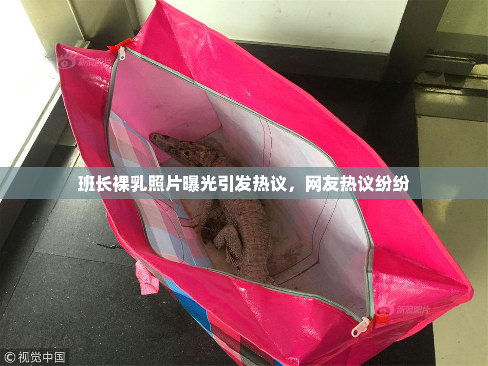 班长裸乳照片曝光引发热议，网友热议纷纷