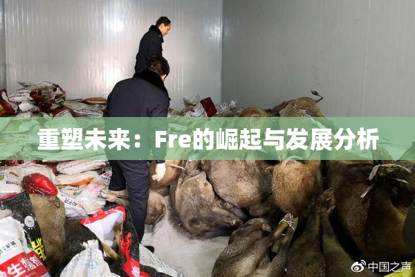 重塑未来：Fre的崛起与发展分析