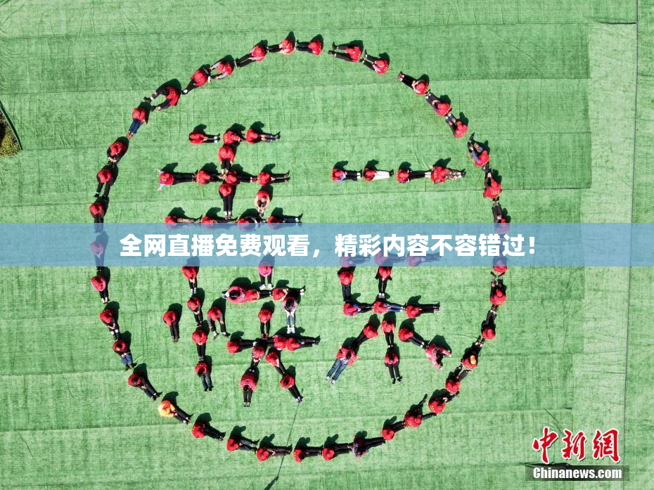全网直播免费观看，精彩内容不容错过！