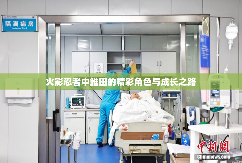 火影忍者中雏田的精彩角色与成长之路
