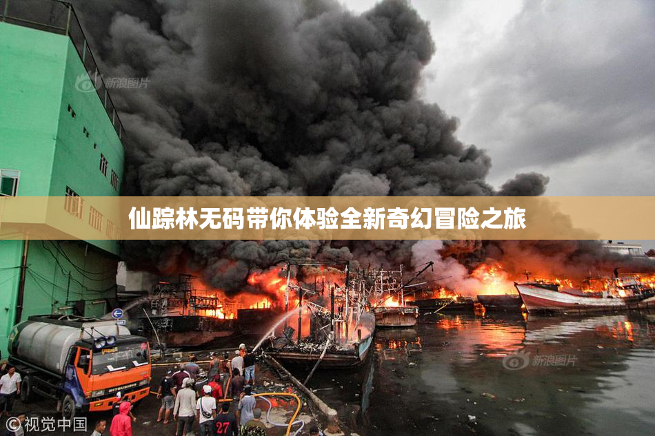 仙踪林无码带你体验全新奇幻冒险之旅