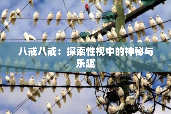 八戒八戒：探索性视中的神秘与乐趣