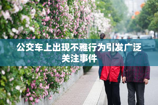 公交车上出现不雅行为引发广泛关注事件