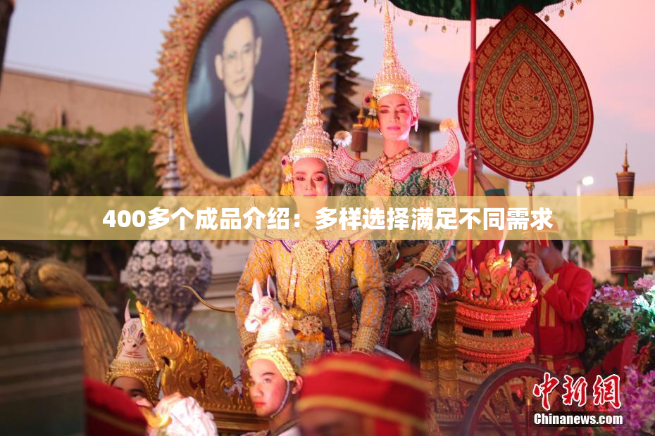 400多个成品介绍：多样选择满足不同需求