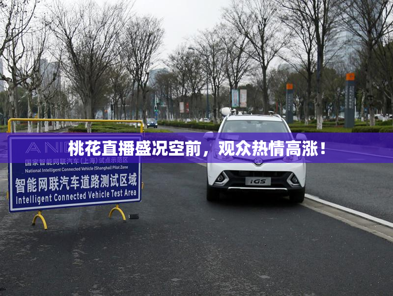 桃花直播盛况空前，观众热情高涨！