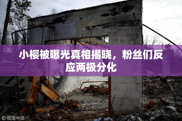 小樱被曝光真相揭晓，粉丝们反应两极分化