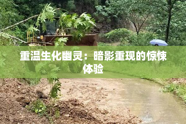 重温生化幽灵：暗影重现的惊悚体验
