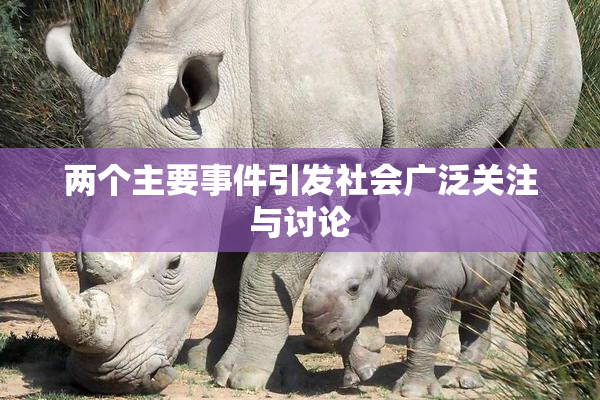 两个主要事件引发社会广泛关注与讨论