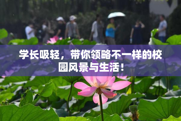 学长吸轻，带你领略不一样的校园风景与生活！