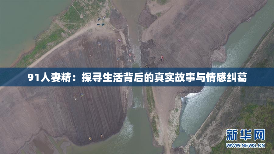 91人妻精：探寻生活背后的真实故事与情感纠葛