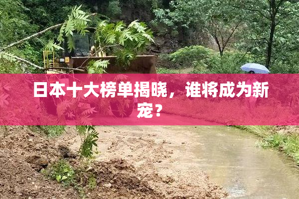 日本十大榜单揭晓，谁将成为新宠？