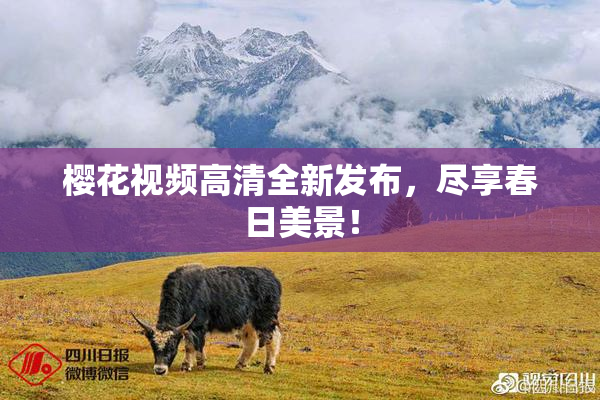 樱花视频高清全新发布，尽享春日美景！