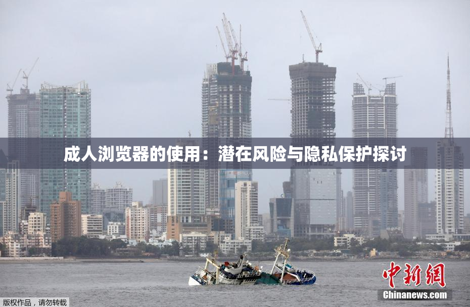 成人浏览器的使用：潜在风险与隐私保护探讨