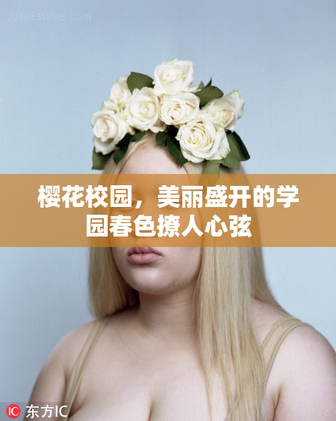 樱花校园，美丽盛开的学园春色撩人心弦
