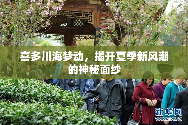 喜多川海梦动，揭开夏季新风潮的神秘面纱