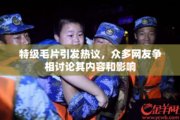 特级毛片引发热议，众多网友争相讨论其内容和影响