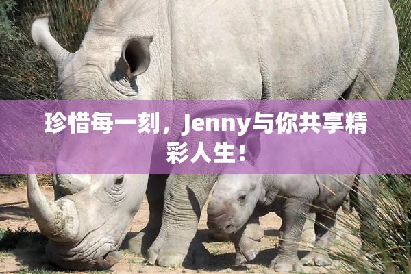 珍惜每一刻，Jenny与你共享精彩人生！