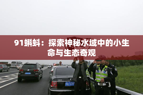 91蝌蚪：探索神秘水域中的小生命与生态奇观