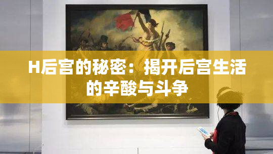 H后宫的秘密：揭开后宫生活的辛酸与斗争