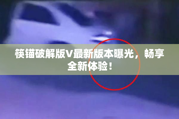 筷锚破解版V最新版本曝光，畅享全新体验！