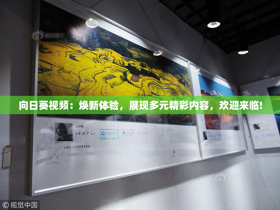 向日葵视频：焕新体验，展现多元精彩内容，欢迎来临!