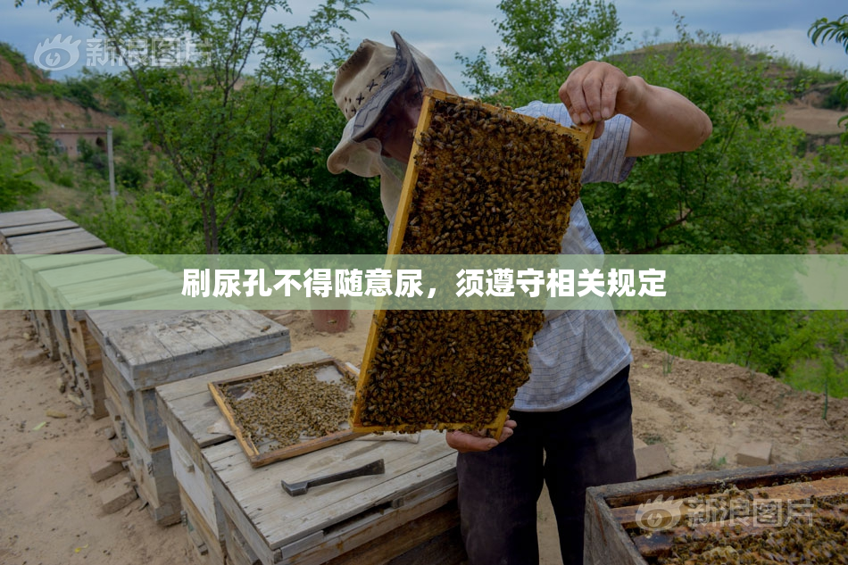 刷尿孔不得随意尿，须遵守相关规定