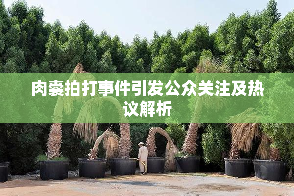 肉囊拍打事件引发公众关注及热议解析